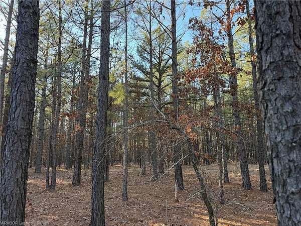 25 Acres of Recreational & Residential Land for Sale in Atoka, Oklahoma