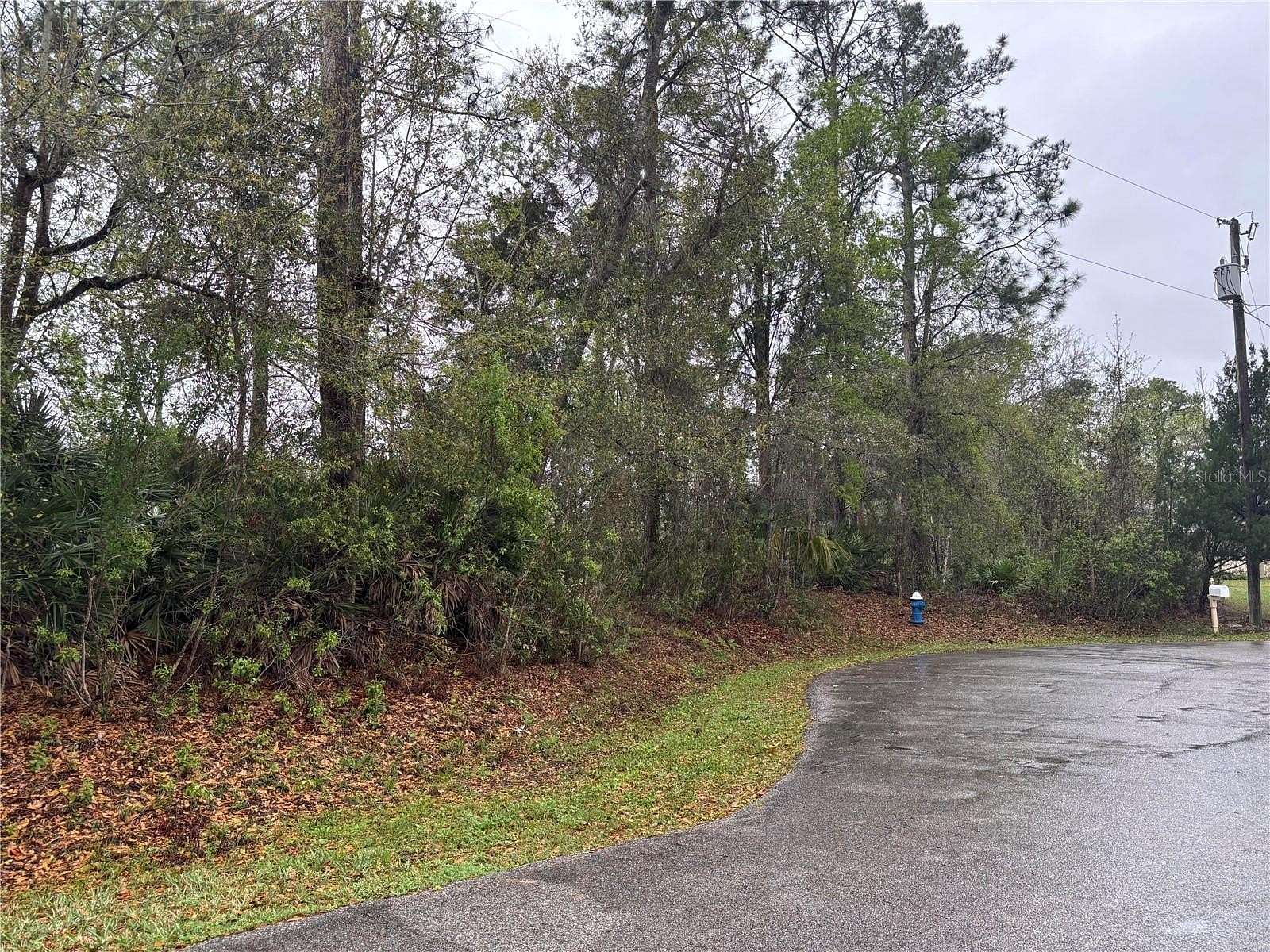 0.31 Acres of Residential Land for Sale in Palm Coast, Florida