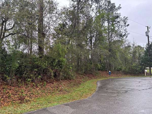 0.31 Acres of Residential Land for Sale in Palm Coast, Florida