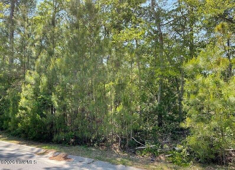 0.16 Acres of Residential Land for Sale in Supply, North Carolina