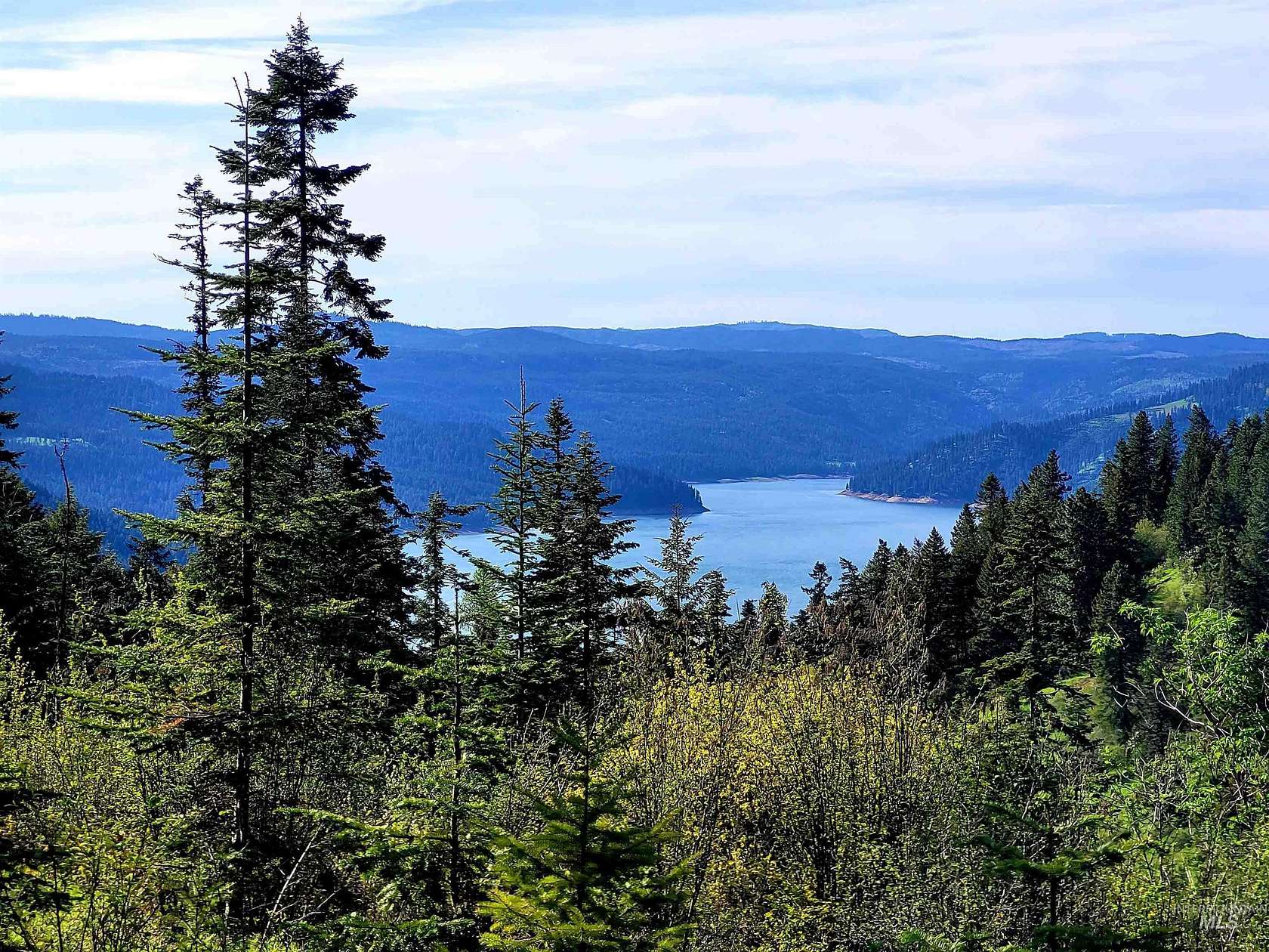 20.1 Acres of Recreational & Residential Land for Sale in Orofino, Idaho