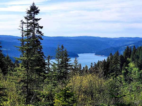 20.1 Acres of Recreational & Residential Land for Sale in Orofino, Idaho