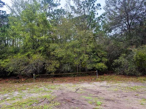 0.82 Acres of Residential Land for Sale in Georgetown, Florida