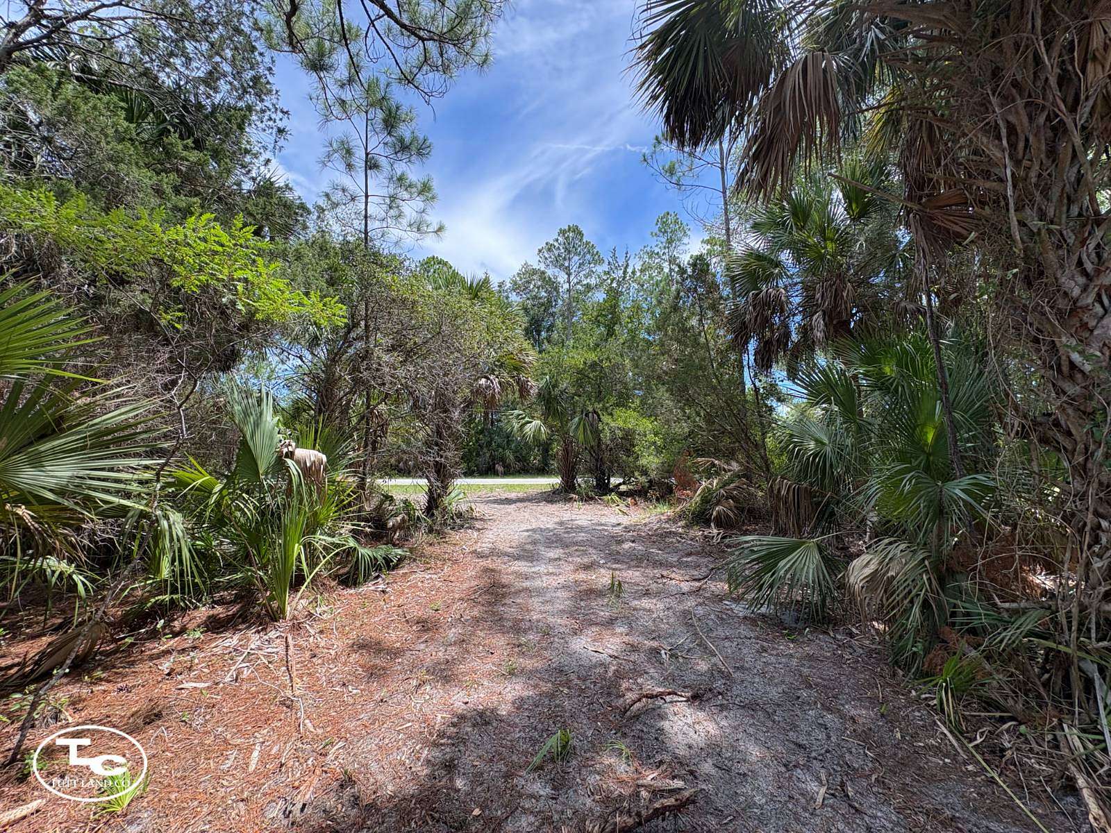 17.8 Acres of Recreational & Residential Land for Sale in Cedar Key, Florida