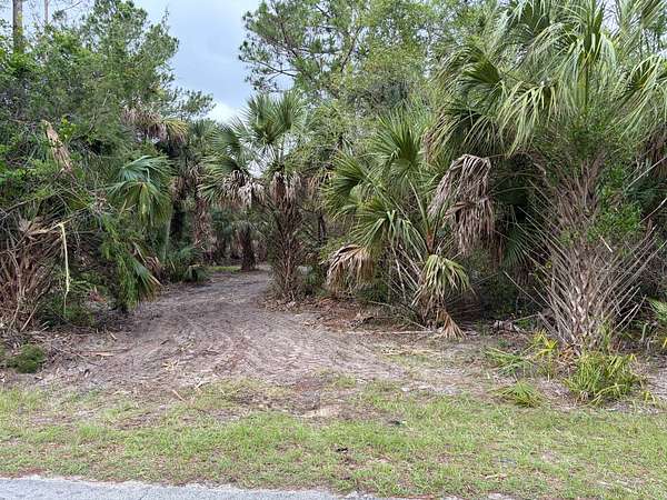 17.8 Acres of Recreational & Residential Land for Sale in Cedar Key, Florida