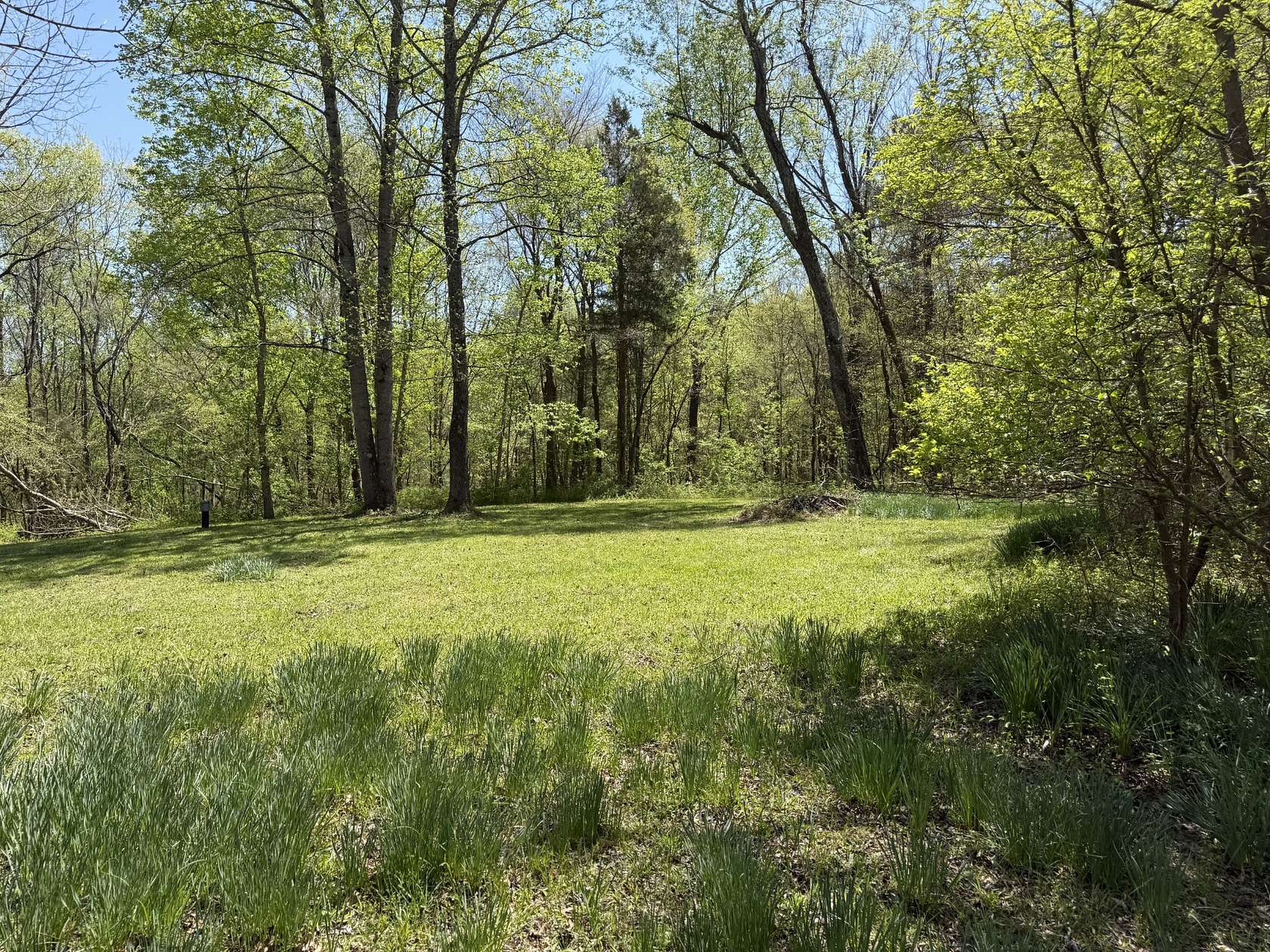 70 Acres of Recreational Land with Home for Sale in Springville, Tennessee