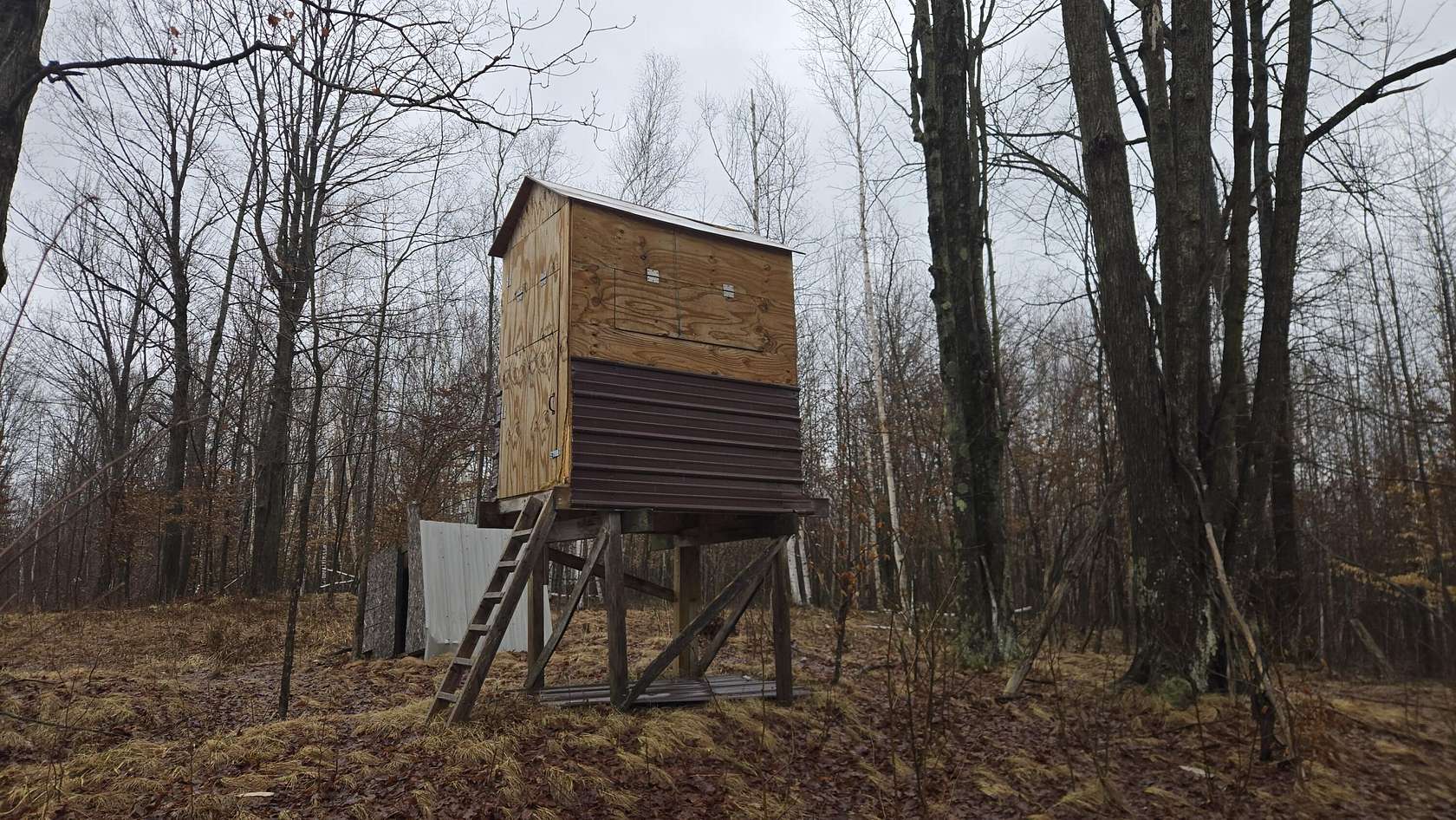 80 Acres of Recreational Land for Sale in Marion, Michigan