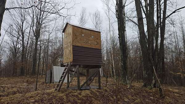 80 Acres of Recreational Land for Sale in Marion, Michigan