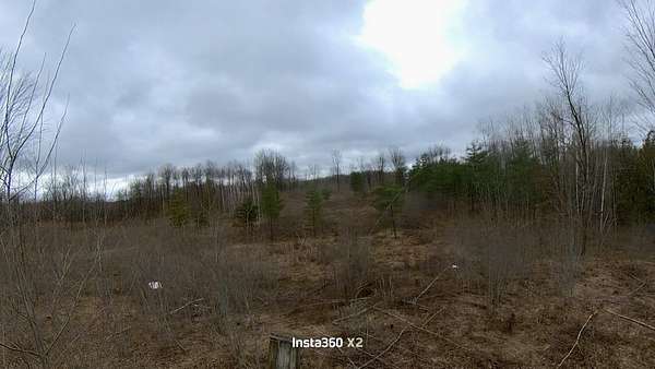 80 Acres of Land for Sale in Marion, Michigan