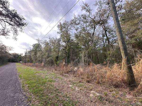 0.22 Acres of Residential Land for Sale in Inverness, Florida