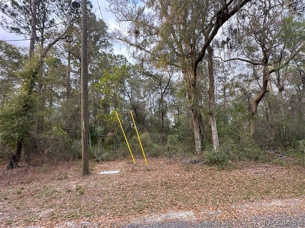 0.27 Acres of Residential Land for Sale in Inverness, Florida