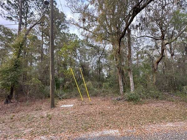 0.27 Acres of Residential Land for Sale in Inverness, Florida