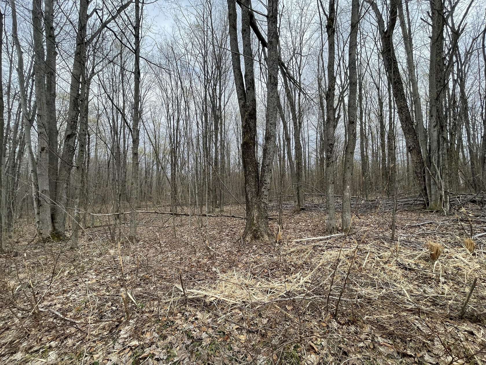 1 Acre of Residential Land for Sale in Mancelona, Michigan