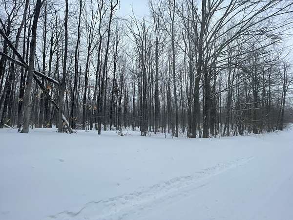 1 Acre of Residential Land for Sale in Mancelona, Michigan