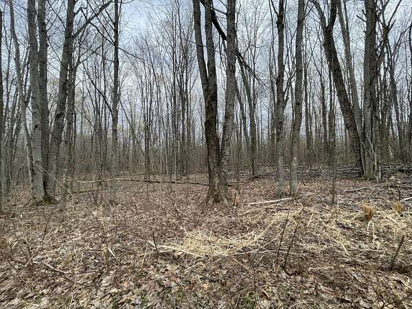 1 Acre of Residential Land for Sale in Mancelona, Michigan