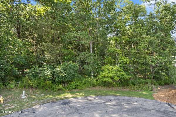 0.68 Acres of Residential Land for Sale in Rockwood, Tennessee