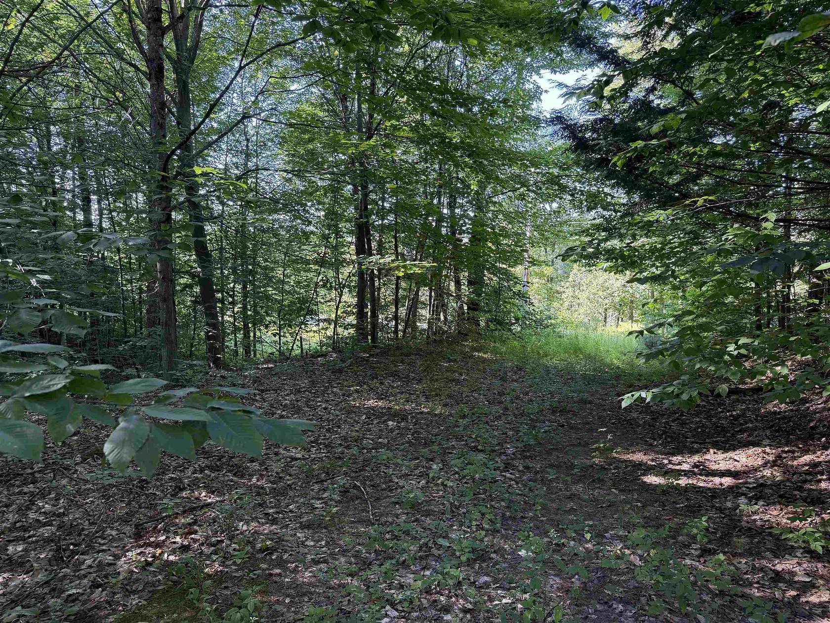 29.1 Acres of Recreational & Residential Land for Sale in Potsdam, New York
