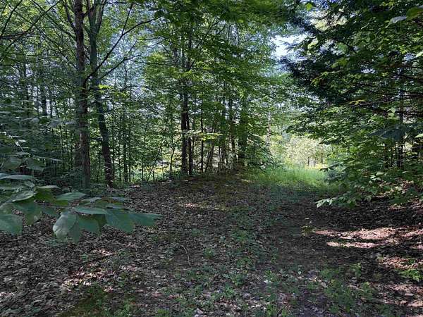 29.1 Acres of Recreational & Residential Land for Sale in Potsdam, New York