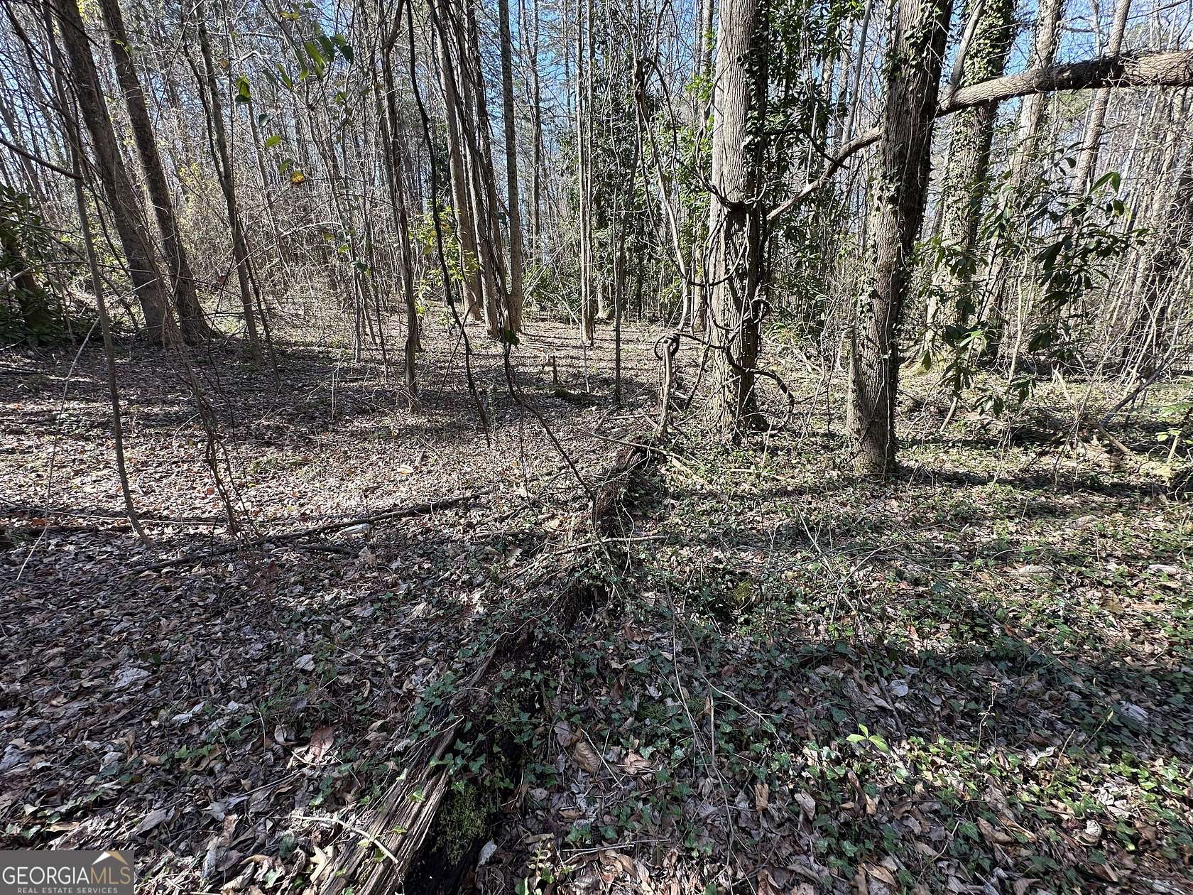 0.51 Acres of Residential Land for Sale in Toccoa, Georgia