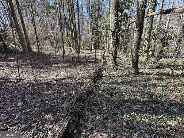 0.51 Acres of Residential Land for Sale in Toccoa, Georgia