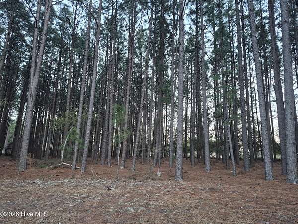 0.86 Acres of Residential Land for Sale in Jackson Springs, North Carolina