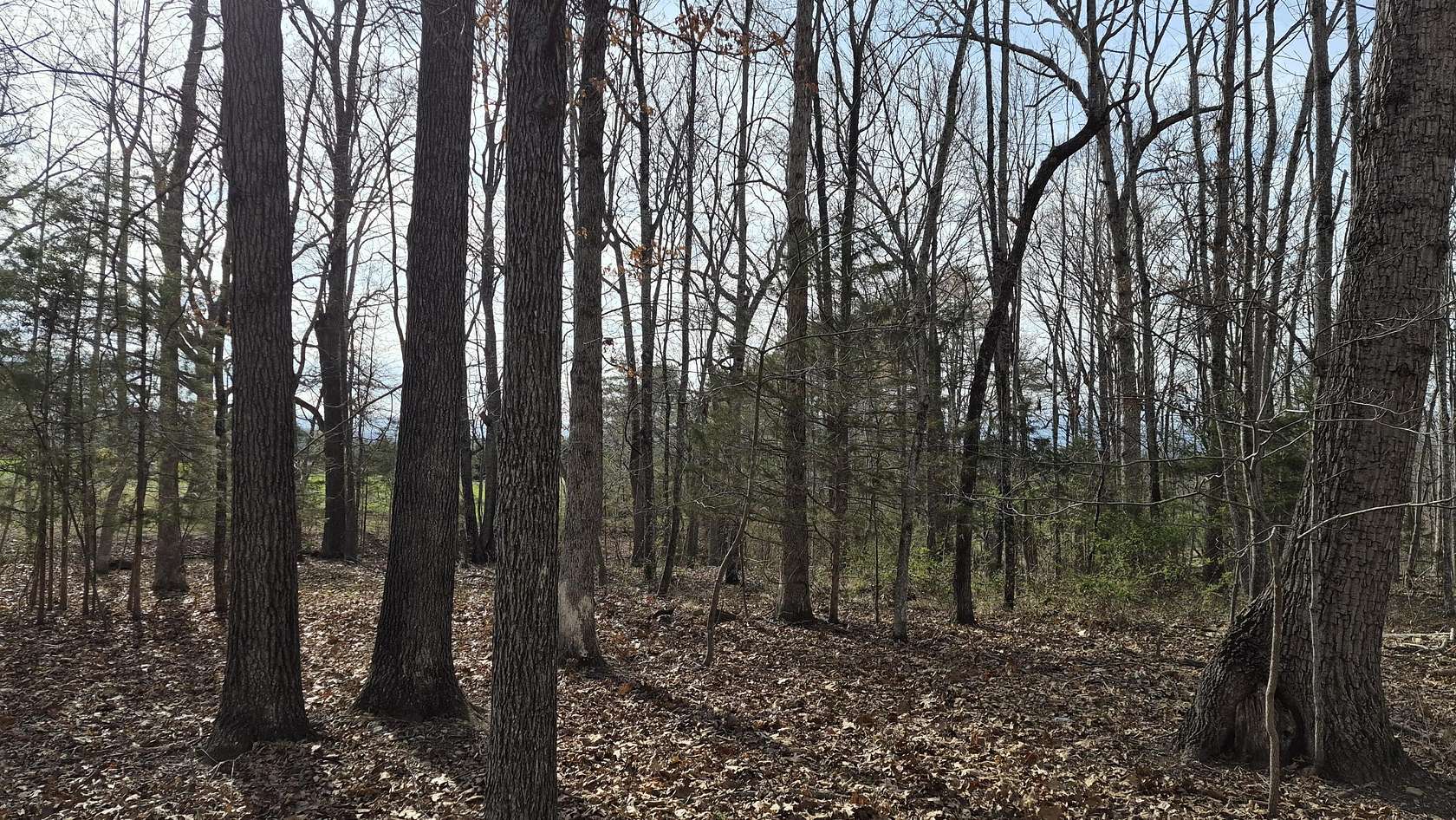 15.4 Acres of Land for Sale in Buena Vista, Virginia