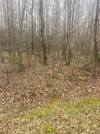 26 Acres of Recreational Land for Sale in Hillsboro, Kentucky