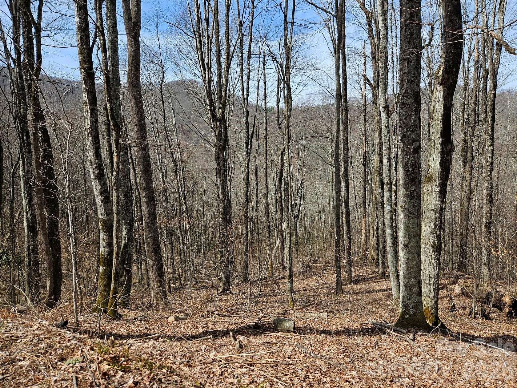 5 Acres of Residential Land for Sale in Waynesville, North Carolina