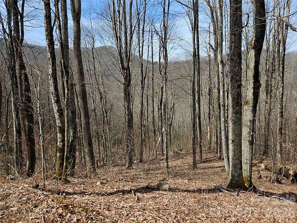 5 Acres of Residential Land for Sale in Waynesville, North Carolina