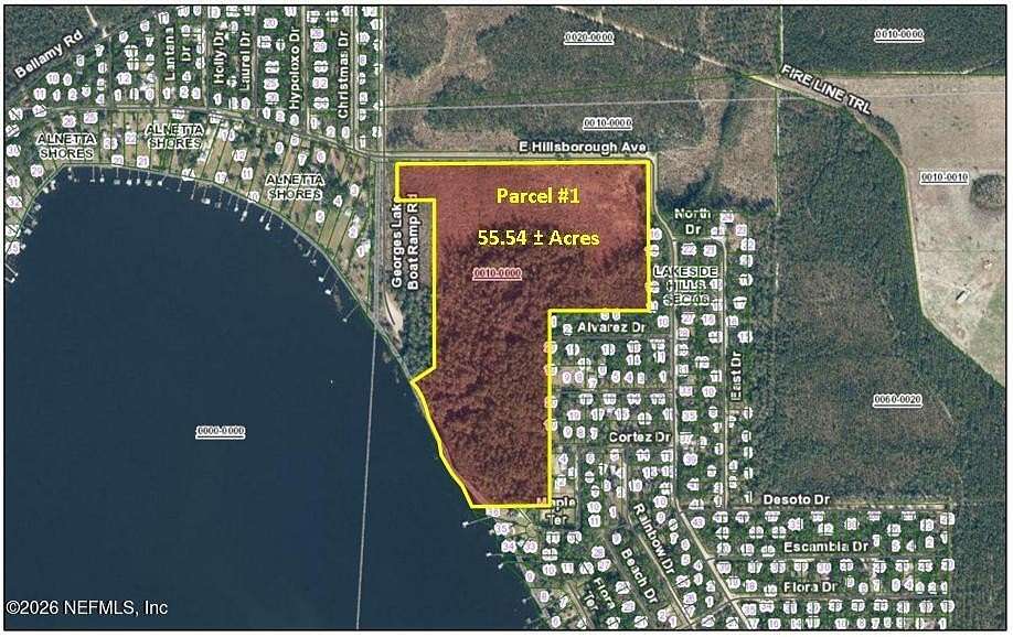 55.5 Acres of Land for Sale in Florahome, Florida