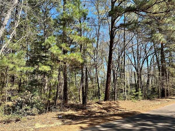 5.3 Acres of Residential Land for Sale in Elkhart, Texas