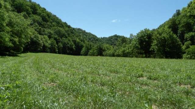 247 Acres of Land for Sale in Moss, Tennessee