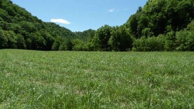 247 Acres of Recreational & Residential Land for Sale in Moss, Tennessee