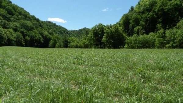 247 Acres of Recreational & Residential Land for Sale in Moss, Tennessee