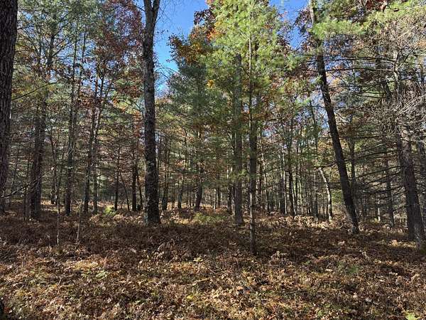 1.24 Acres of Residential Land for Sale in Free Soil, Michigan