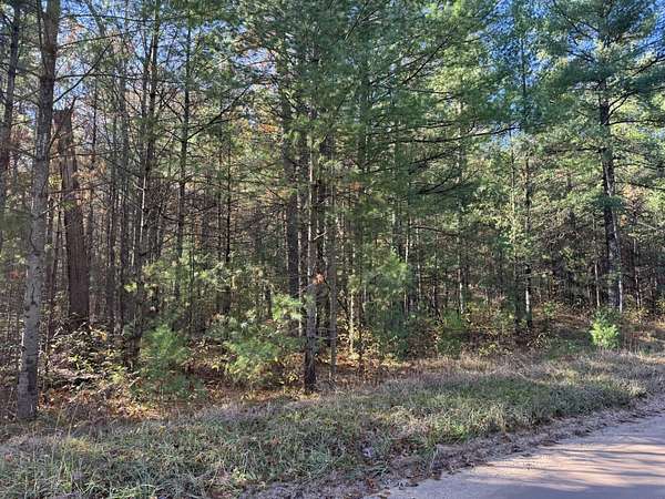 2.4 Acres of Residential Land for Sale in Free Soil, Michigan