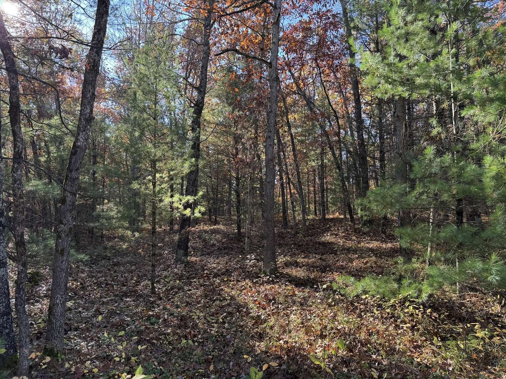 2.19 Acres of Residential Land for Sale in Free Soil, Michigan