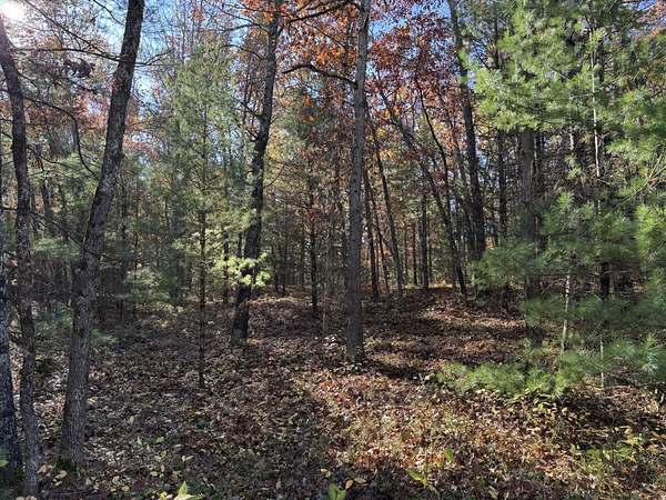 2.19 Acres of Residential Land for Sale in Free Soil, Michigan