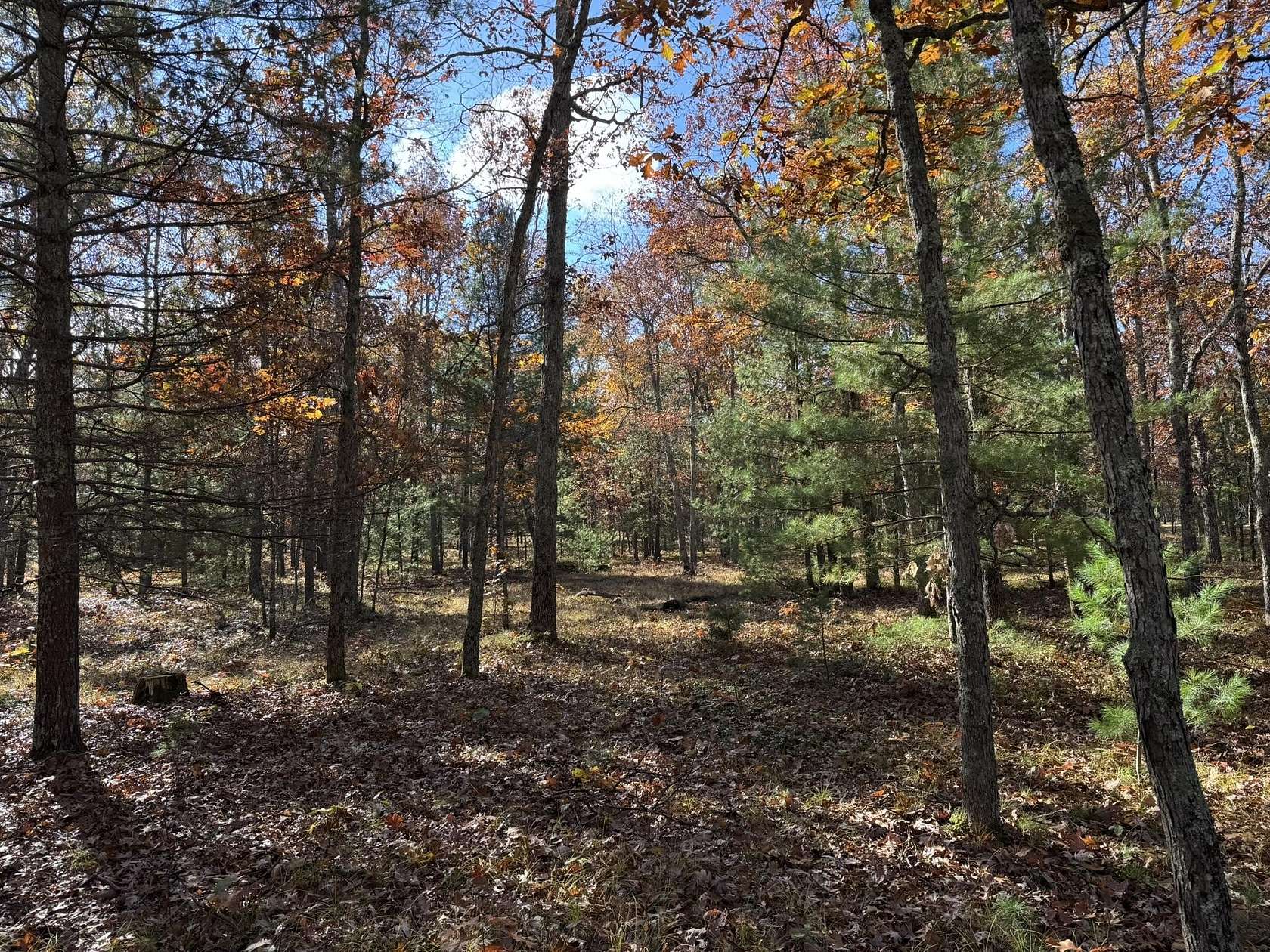 2.67 Acres of Residential Land for Sale in Free Soil, Michigan