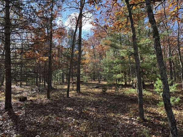 2.67 Acres of Residential Land for Sale in Free Soil, Michigan