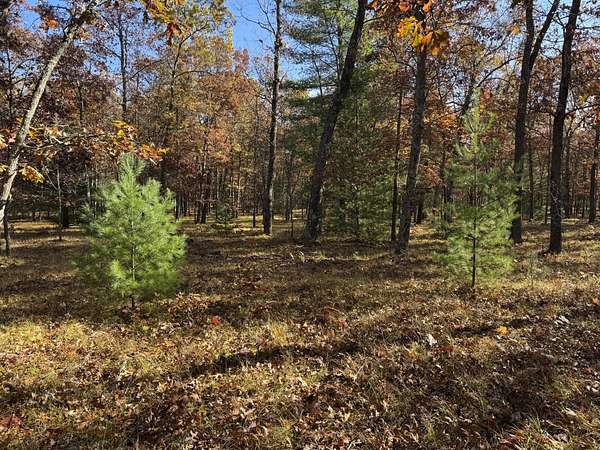 2.78 Acres of Residential Land for Sale in Free Soil, Michigan