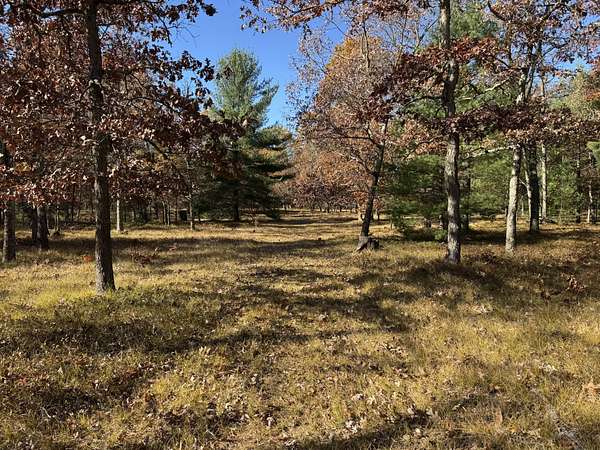 3 Acres of Residential Land for Sale in Free Soil, Michigan