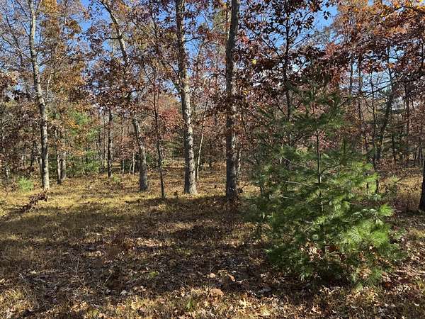 3.1 Acres of Land for Sale in Free Soil, Michigan