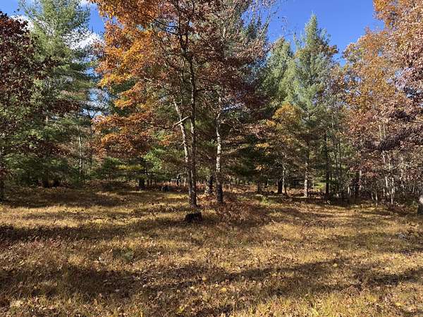2.45 Acres of Residential Land for Sale in Free Soil, Michigan