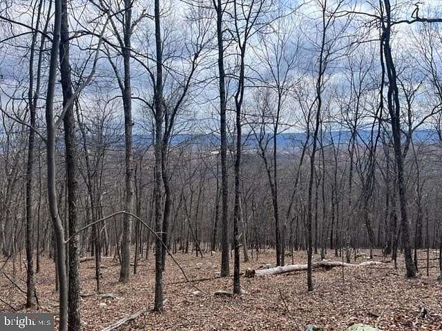 10 Acres of Residential Land for Sale in Berkeley Springs, West Virginia