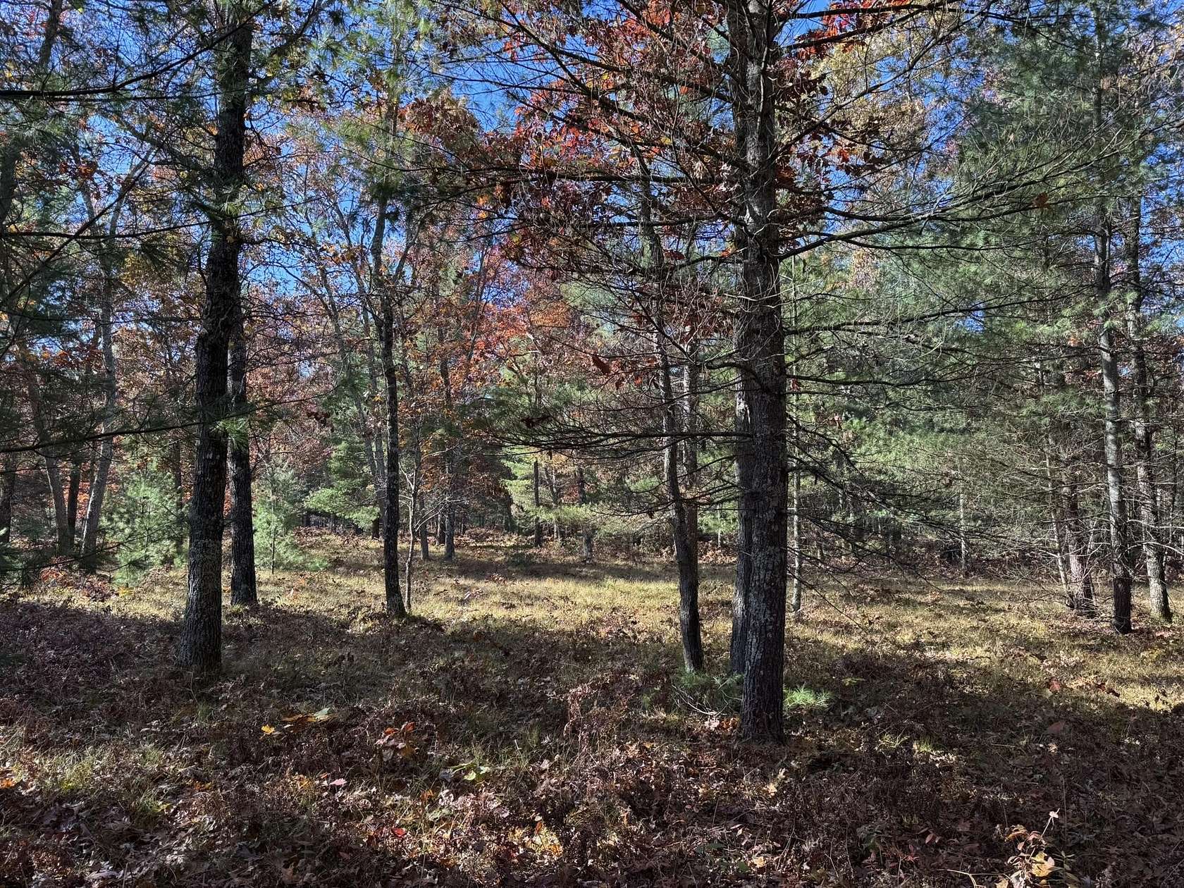 1.3 Acres of Residential Land for Sale in Free Soil, Michigan