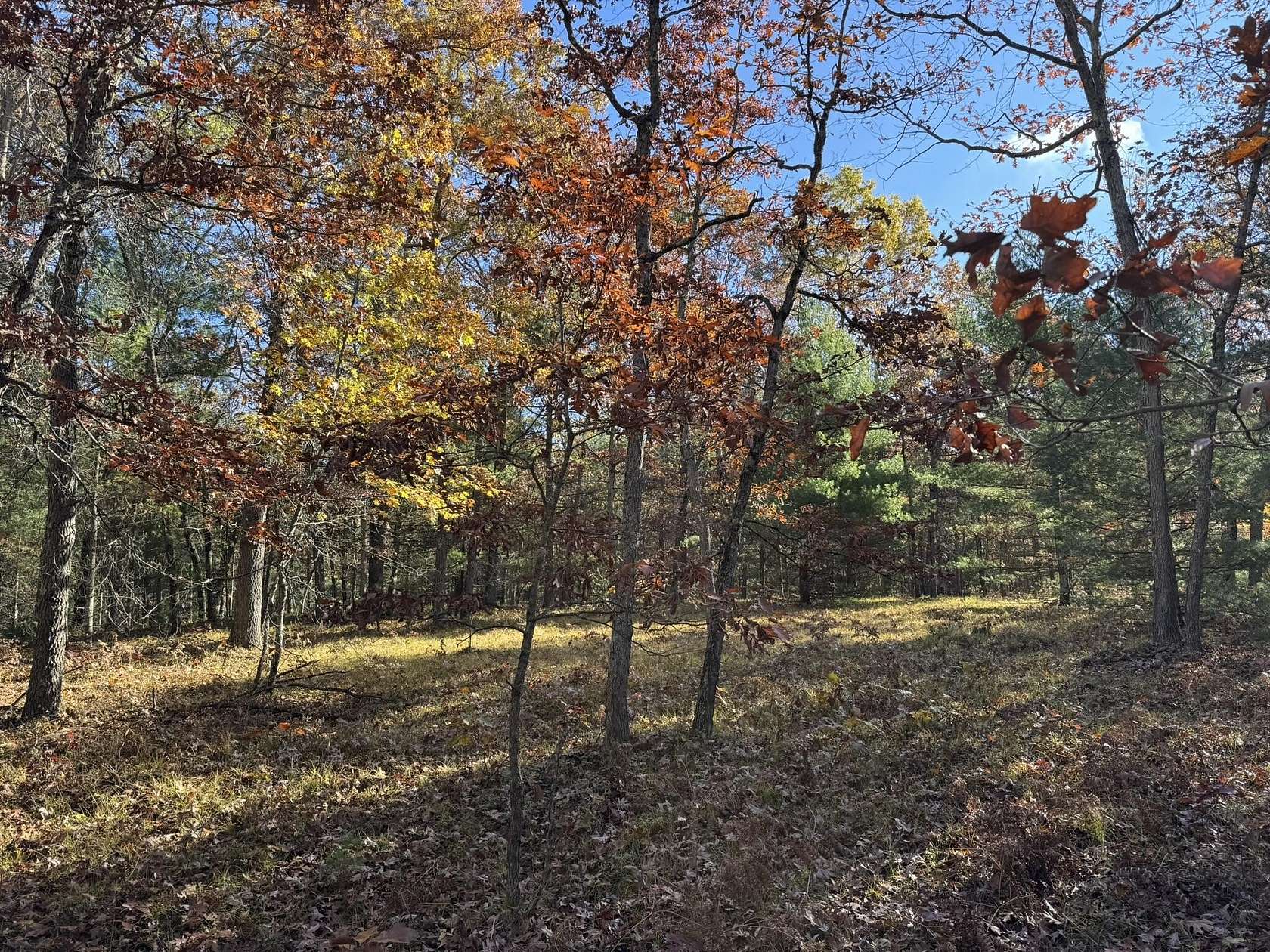 2.42 Acres of Residential Land for Sale in Free Soil, Michigan