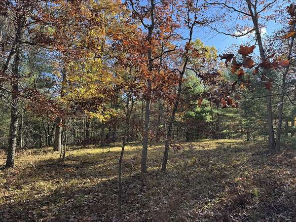 2.42 Acres of Residential Land for Sale in Free Soil, Michigan
