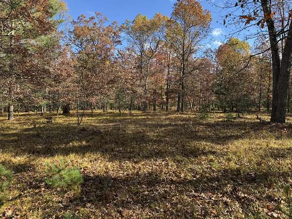 2.24 Acres of Residential Land for Sale in Free Soil, Michigan