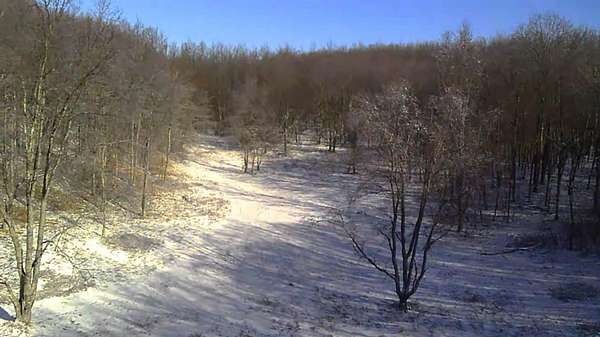 40 Acres of Recreational Land for Sale in Le Roy, Michigan